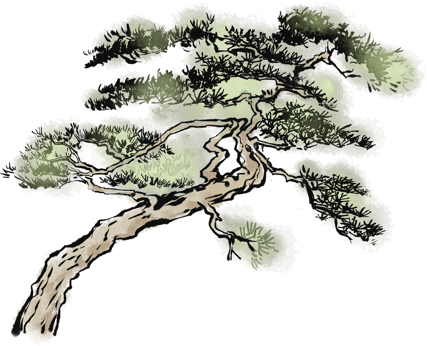 pine-decor